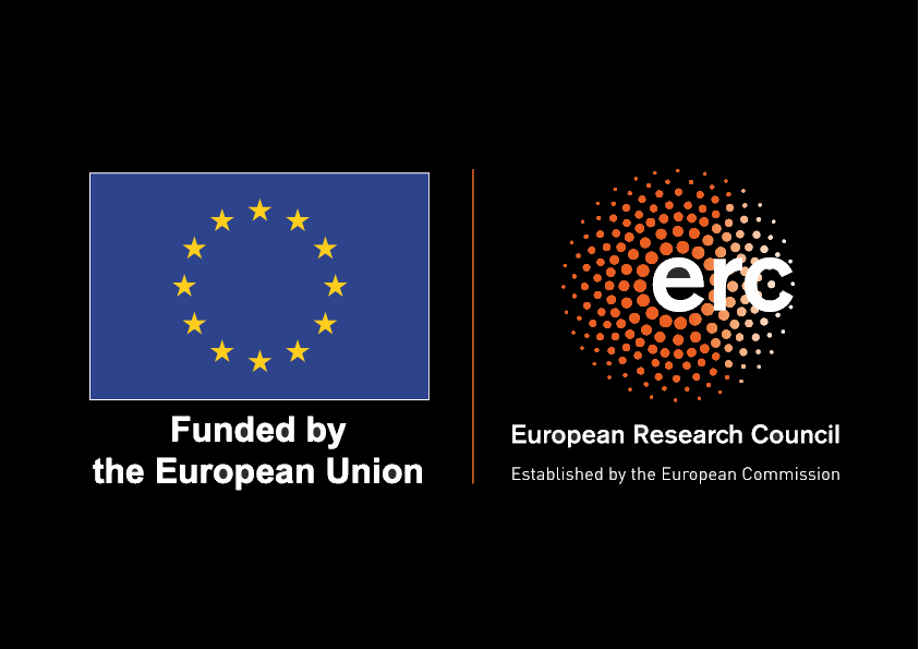 LOGO_ERC-FLAG_FP_NEGATIF