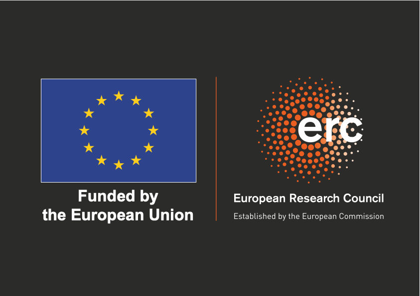 LOGO_ERC-FLAG_FP_NEGATIFgray